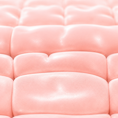 Ultra-soft & gentle